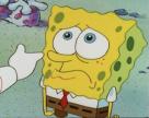 the sponge